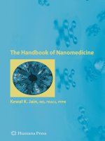 the handbook of nanomedicine