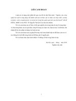 Nghiên cứu tạo một số chế phẩm chức năng chứa tinh dầu nghệ vàng