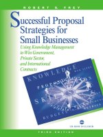 successful proposal strategies for small business