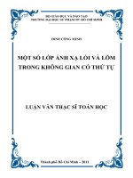 một số lớp ánh xạ lồi và lõm trong không gian có thứ tự