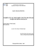 Luận văn nghiên cứu sự tổng hợp cảm ứng pectinase ở một số chủng bacillus
