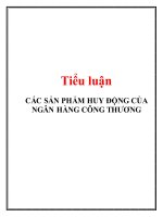 Các sản phẩm huy động của ngân hàng công thương