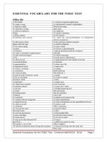 ESSENTIAL VOCABULARY FOR THE TOEIC TEST