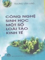Công nghệ sinh học một số loài tảo kinh tế
