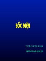 Bài giảng sốc điện   TS  trần song giang