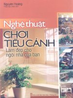 NGHỆ THUẬT CHƠI TIỂU CẢNH LÀM ĐẸP NGÔI NHÀ BẠN