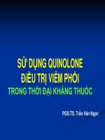 kháng sinh quinilone trong điều trị viêm phổi trong thời đại đa kháng thuốc