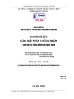 Chuyên đề 9:Các giải pháp chống thấm cho đập bê tông đầm lăn Định Bình