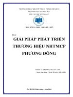 Tiểu luận giải pháp phát triển thương hiệu NHTMCP phương đông