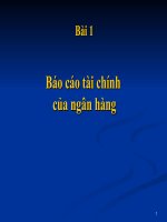 Bài giảng Quản trị ngân hàng: Bài 1  báo cáo tài chính của ngân hàng