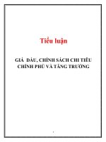 Tiểu luận: Giá dầu, chính sách chi tiêu chính phủ và tăng trưởng