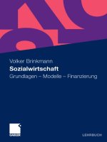 brinkmann, sozialwirtschaft; grundlagen - modelle - finanzierung (2010)