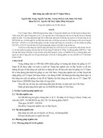 Khả năng sản xuất của vịt CV super heavy