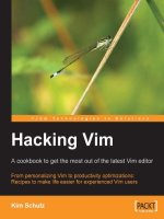 hacking vim a cookbook to get the most out of the latest vim editor