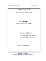 tiểu luận dầu mỏ và môi trường