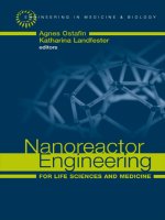 nanoreactor engineering for life sciences and medicine, 2009, p.294
