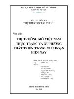 Tiểu luận thị trường tài chính: Thị trường mở Việt Nam thực trạng và xu hướng phát triển trong giai đoạn hiện nay