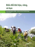 Biến đổi khí hậu, rừng, và bạn