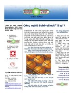 Công nghệ BubbleDeck