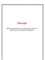 Tiểu luận những ứng dụng của ngân hàng trực tuyến và hiệu quả của ngân hàng cộng đồng