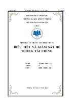 Tiểu luận lý thuyết tài chính tiền tệ: Điều tiết và giám sát hệ thống tài chính