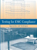 testing for emc compliance approaches and techniques