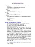 Giáo án Mĩ Thuật lớp 5