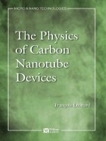 the physics of carbon nanotube devices, 2009, p.310