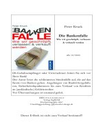 peter kruck - die banken falle