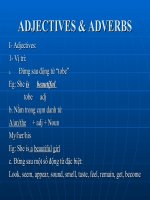 ADJECTIVES & ADVERBS