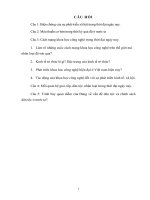 Biện chứng của sự phát triển xã hội