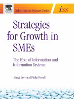 strategies for growth in smes (2005)