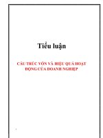 Cấu trúc vốn và hiệu quả hoạt động của doanh nghiệp