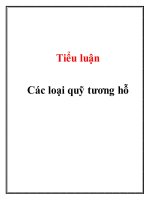 Tiểu luận: Các loại quỹ tương hỗ