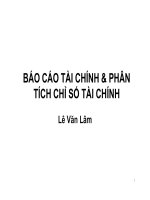 Báo cáo tài chính & phân tích chỉ số tài chính - Lê Văn Lâm