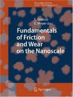 fundamentals of friction and wear on the nanoscale, 2007, p.713
