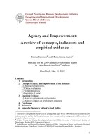 a review of concepts indicators and empirical evidence