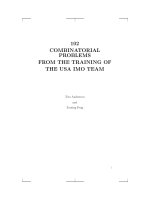 102 COMBINATORIAL PROBLEMS FROM THE TRAINING OF THE USA IMO TEAM