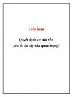 Tiểu luận: Quyết định cơ cấu vốn: yếu tố tin cậy nào quan trọng