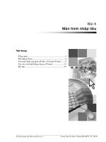 Giáo trinh tin học-Màn hình nhập liệu