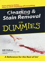 cleaning and stain removal for dummies