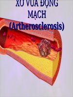 Slide bài giảng sơ vữa động mạch