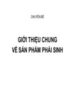 Chuyên đề giới thiệu chung về sản phẩm phái sinh