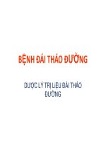 Bài giảng bệnh đái tháo đường   dược lý trị liệu đái tháo đường