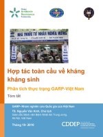 hợp tác toàn cầu vè kháng kháng sinh