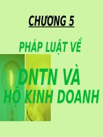 Pháp luật về doanh nghiệp tư nhân và hộ kinh doanh