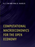 computational macroeconomics for the open economy oct 2008
