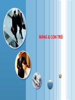 MẢNG và CON TRỎ