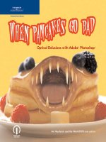 when pancakes go bad optical delusions with adobe photoshop
