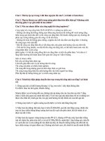 đề cương thi công đặc biệt